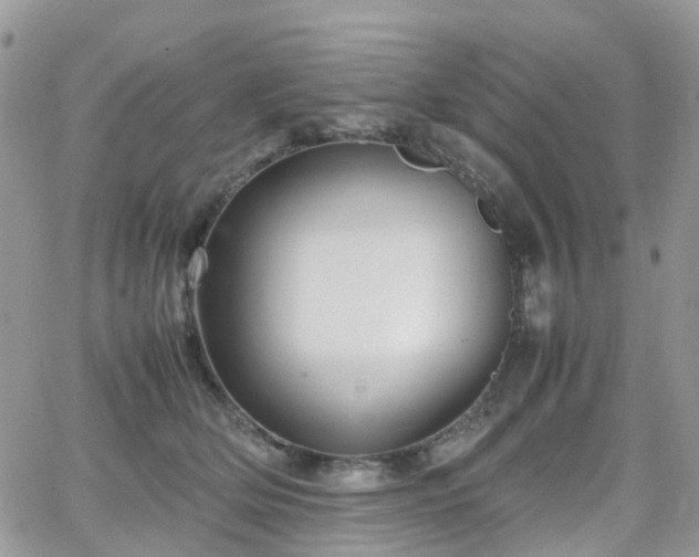 X0000066520514200603241340