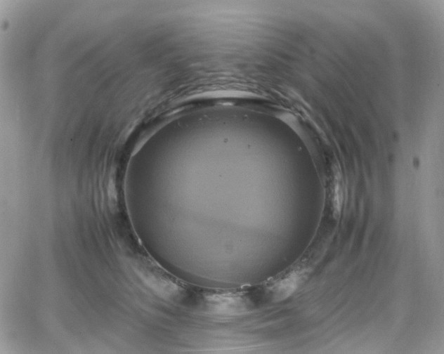 X0000066520516200603241340