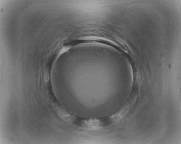 X0000066520517200603241340