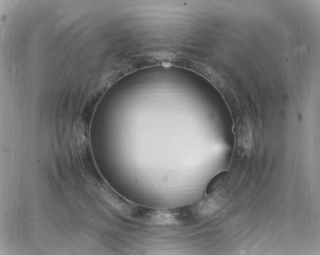 X0000066520518200603241340