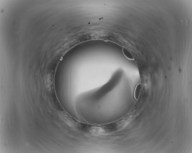 X0000066520519200603241340