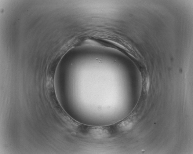 X0000066520521200603241340