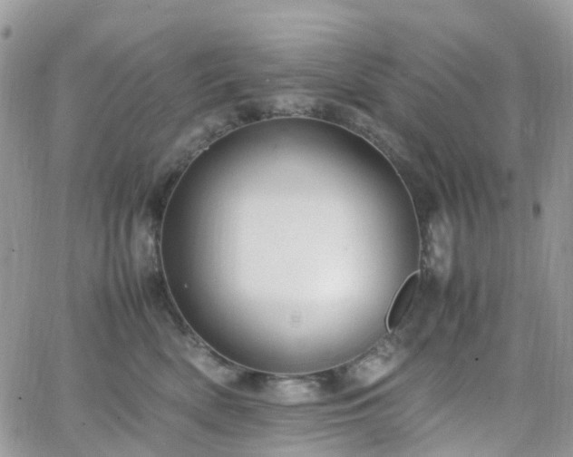 X0000066520522200603241340