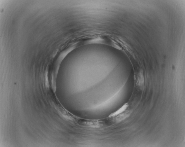 X0000066520524200603241340