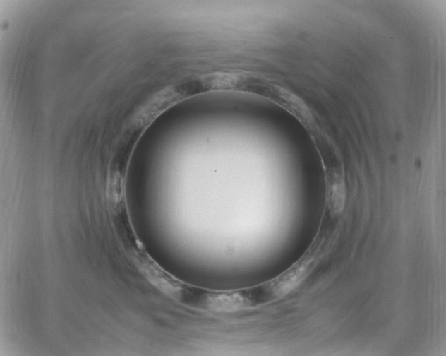 X0000066520525200603241340