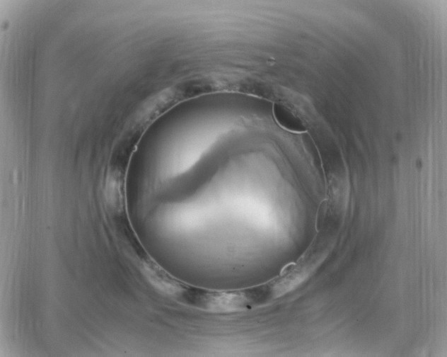 X0000066520527200603241339