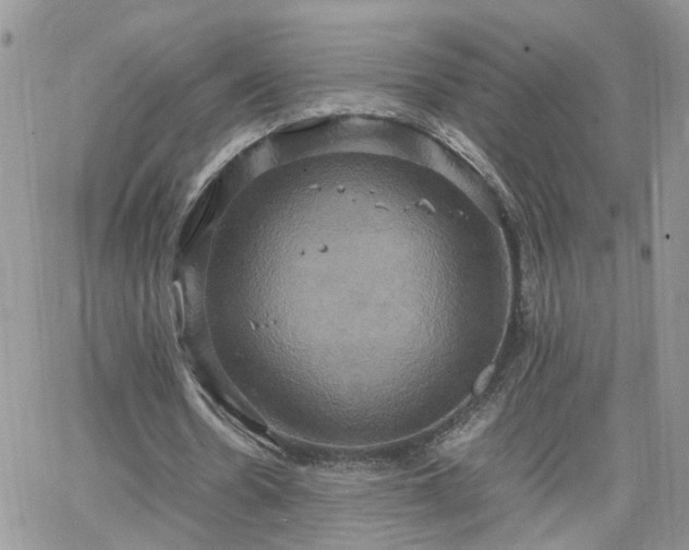 X0000066520530200603241339