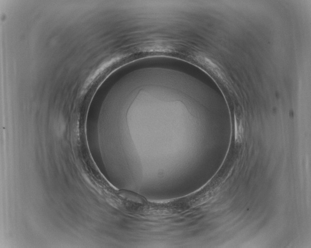 X0000066520531200603241339