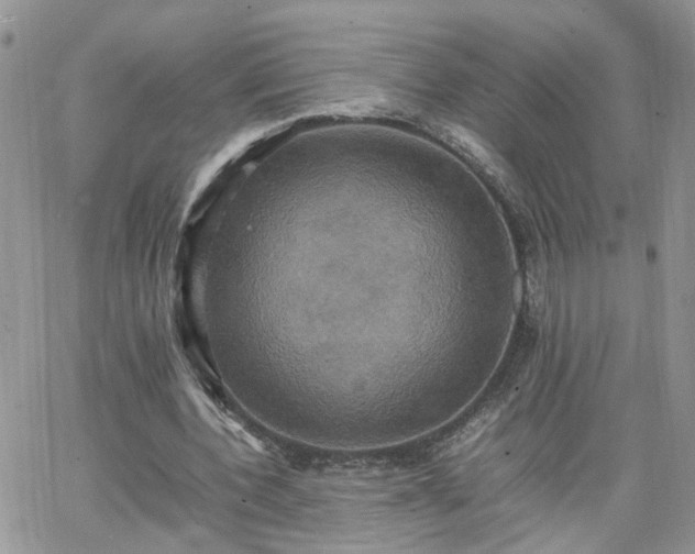 X0000066520532200603241339