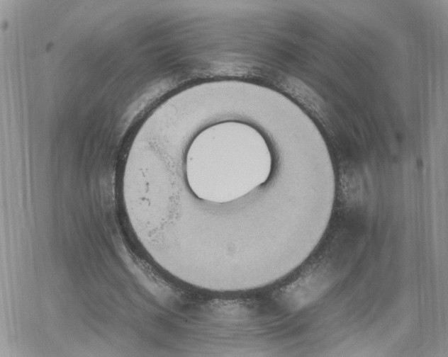 X0000066520534200603241339