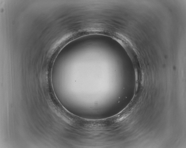 X0000066520535200603241339