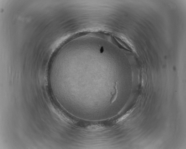 X0000066520536200603241339