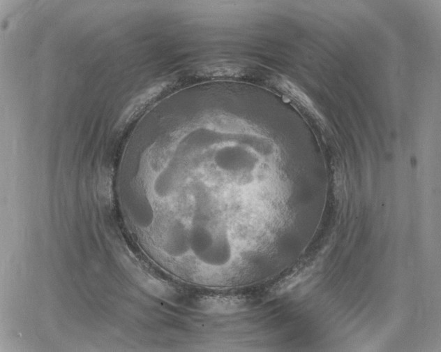 X0000066520537200603241339