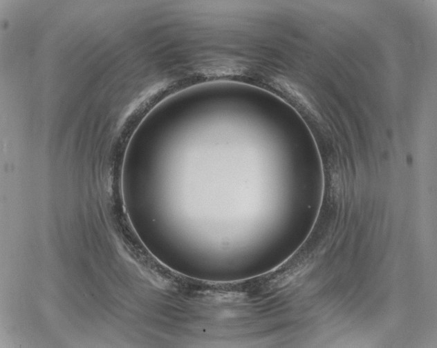 X0000066520539200603241339