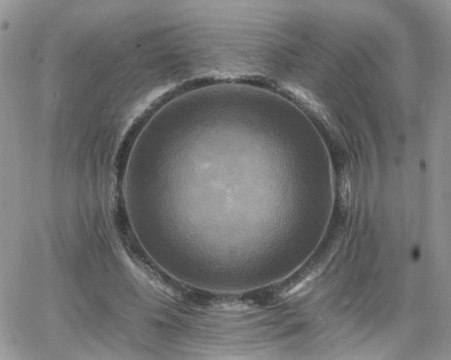 X0000066520540200603241339