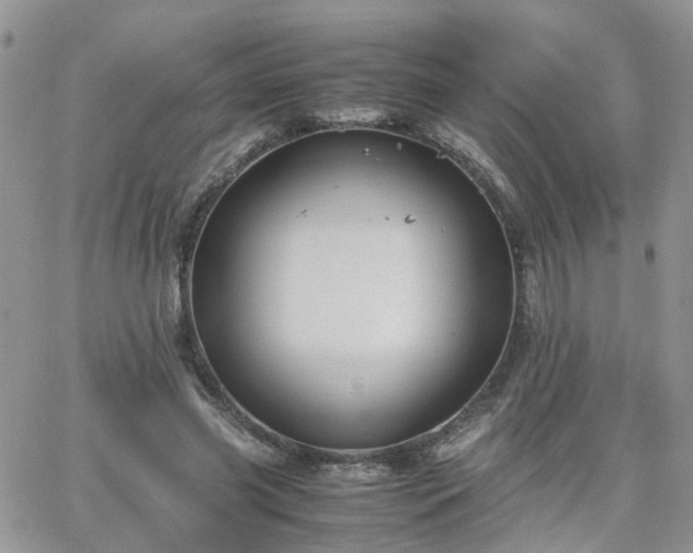 X0000066520541200603241339