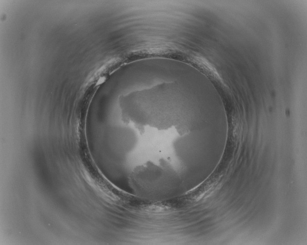 X0000066520542200603241339