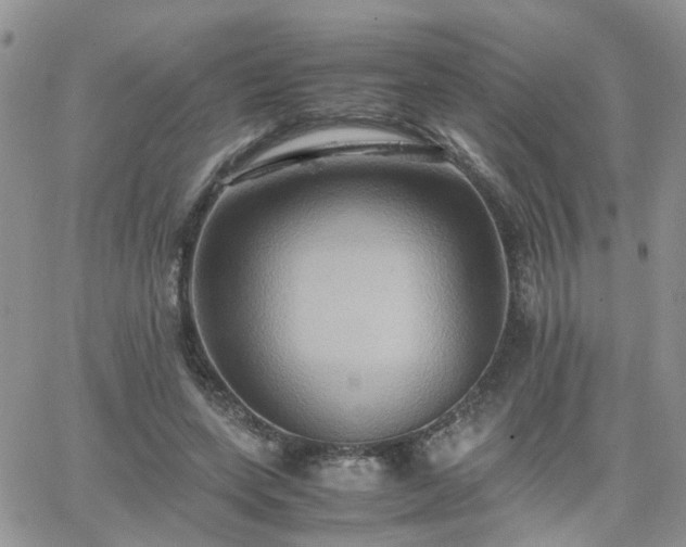 X0000066520543200603241339