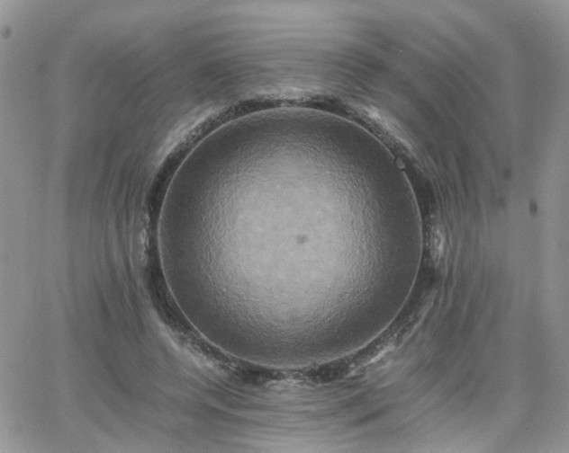 X0000066520544200603241339