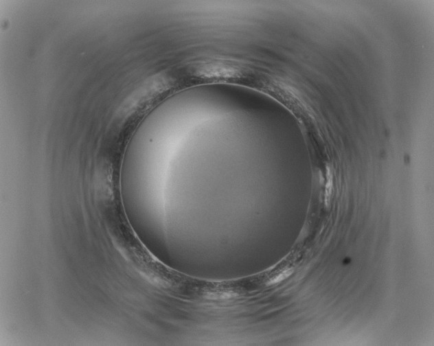 X0000066520547200603241339