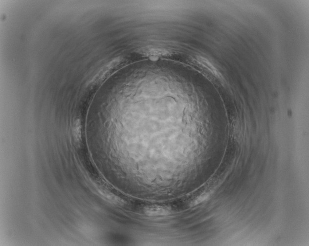 X0000066520549200603241339