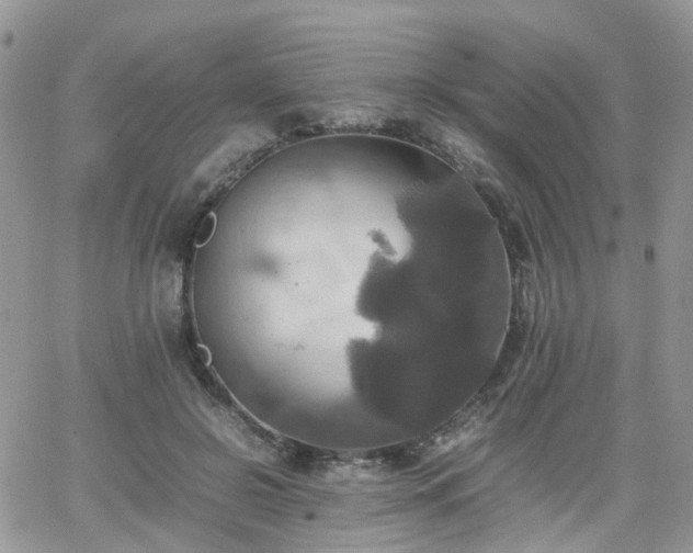 X0000066520550200603241339