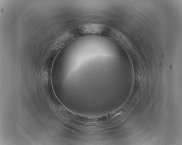 X0000066520551200603241339