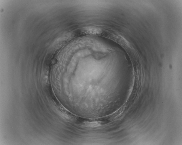 X0000066520553200603241339