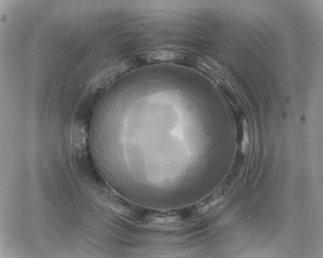 X0000066520555200603241339