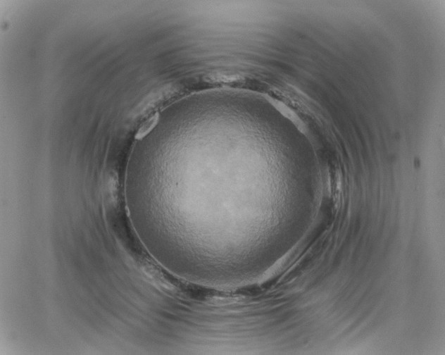 X0000066520556200603241339