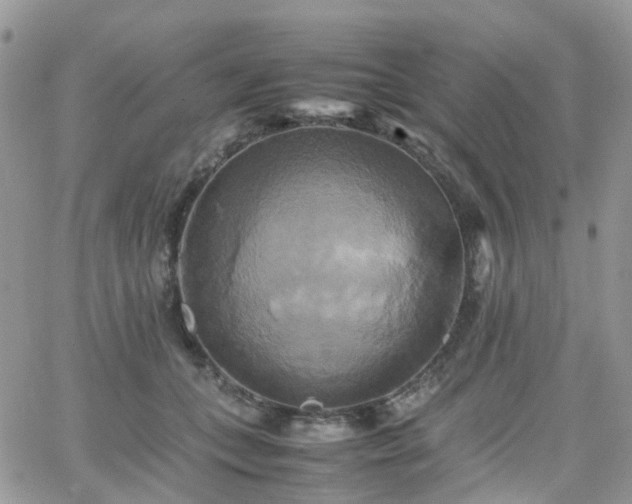 X0000066520559200603241339