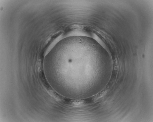 X0000066520560200603241339