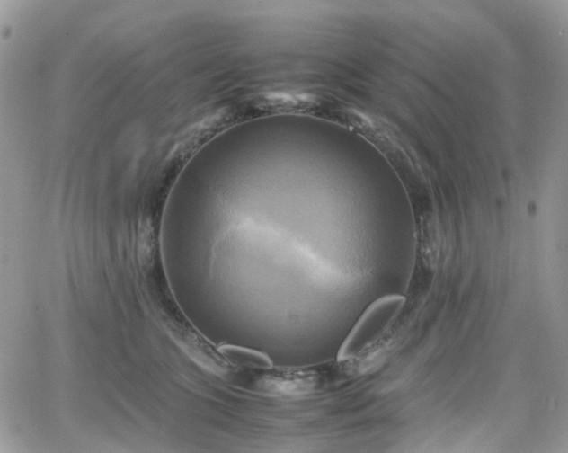 X0000066520563200603241339