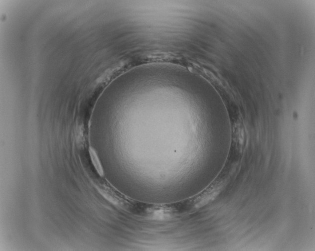 X0000066520564200603241339