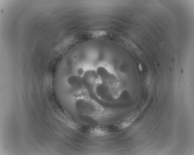 X0000066520565200603241339