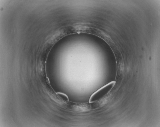 X0000066520567200603241339