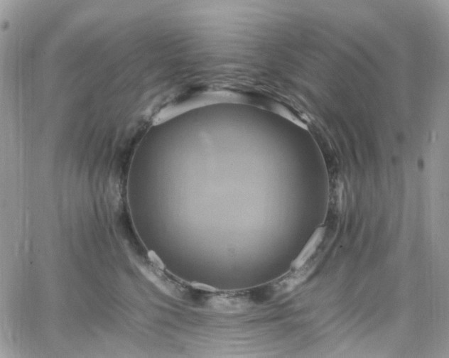 X0000066520568200603241339