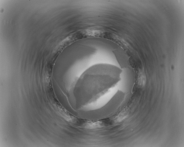 X0000066520569200603241339