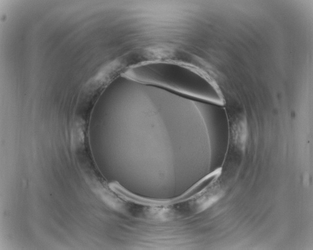 X0000066520570200603241339