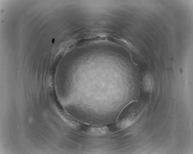 X0000066520571200603241339