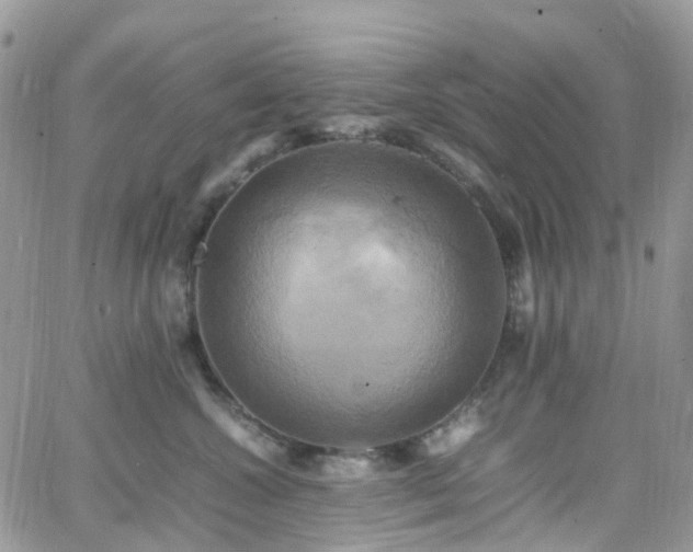 X0000066520572200603241339