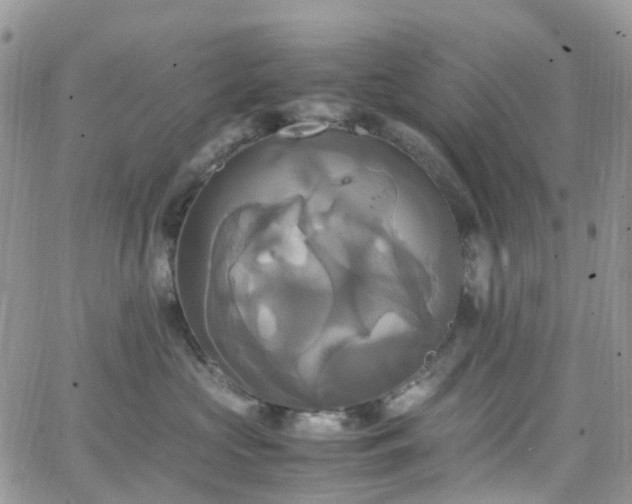 X0000066520573200603241339