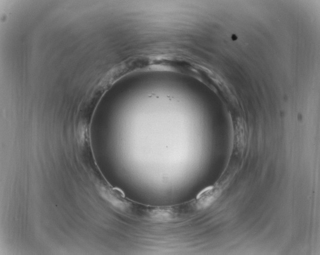 X0000066520574200603241339