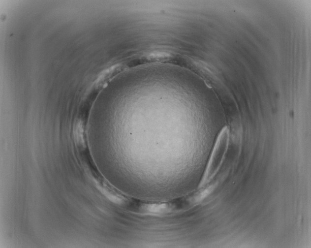 X0000066520575200603241339