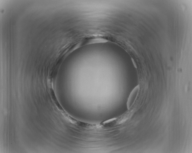 X0000066520576200603241339