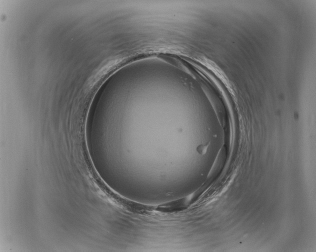 X0000066520577200603241339