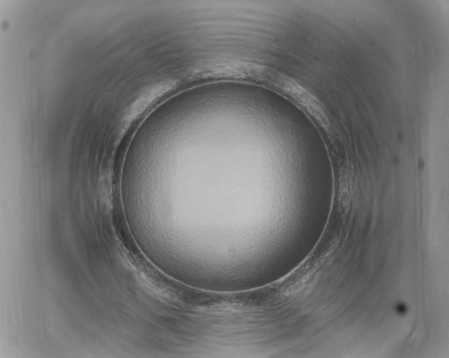 X0000066520578200603241339