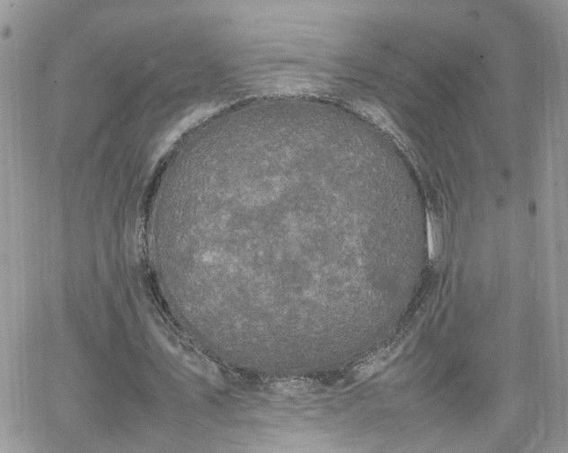 X0000066520579200603241339