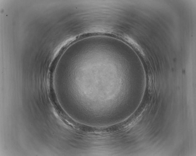 X0000066520580200603241339