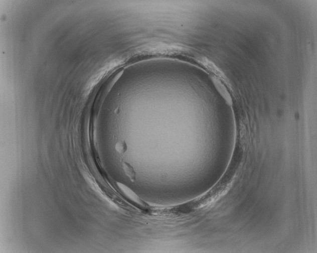 X0000066520581200603241339